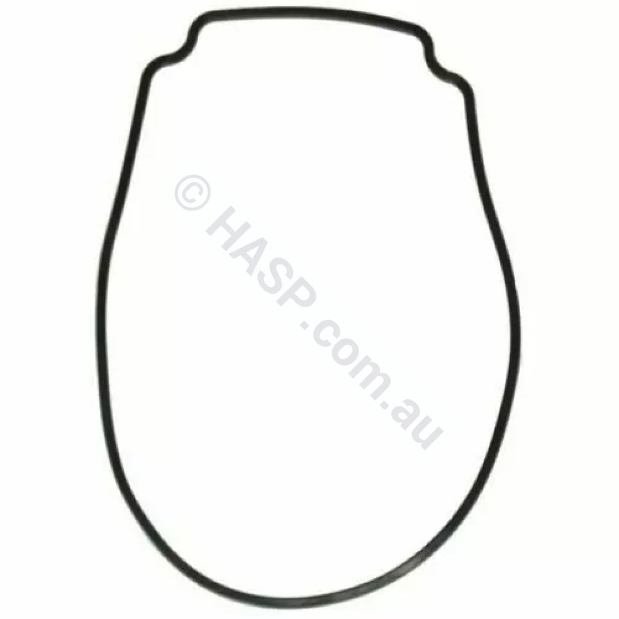 Astralpool Pump Body O-Ring / Gasket Pre 2019 Ctx | E Style Viron Xtpre Xt