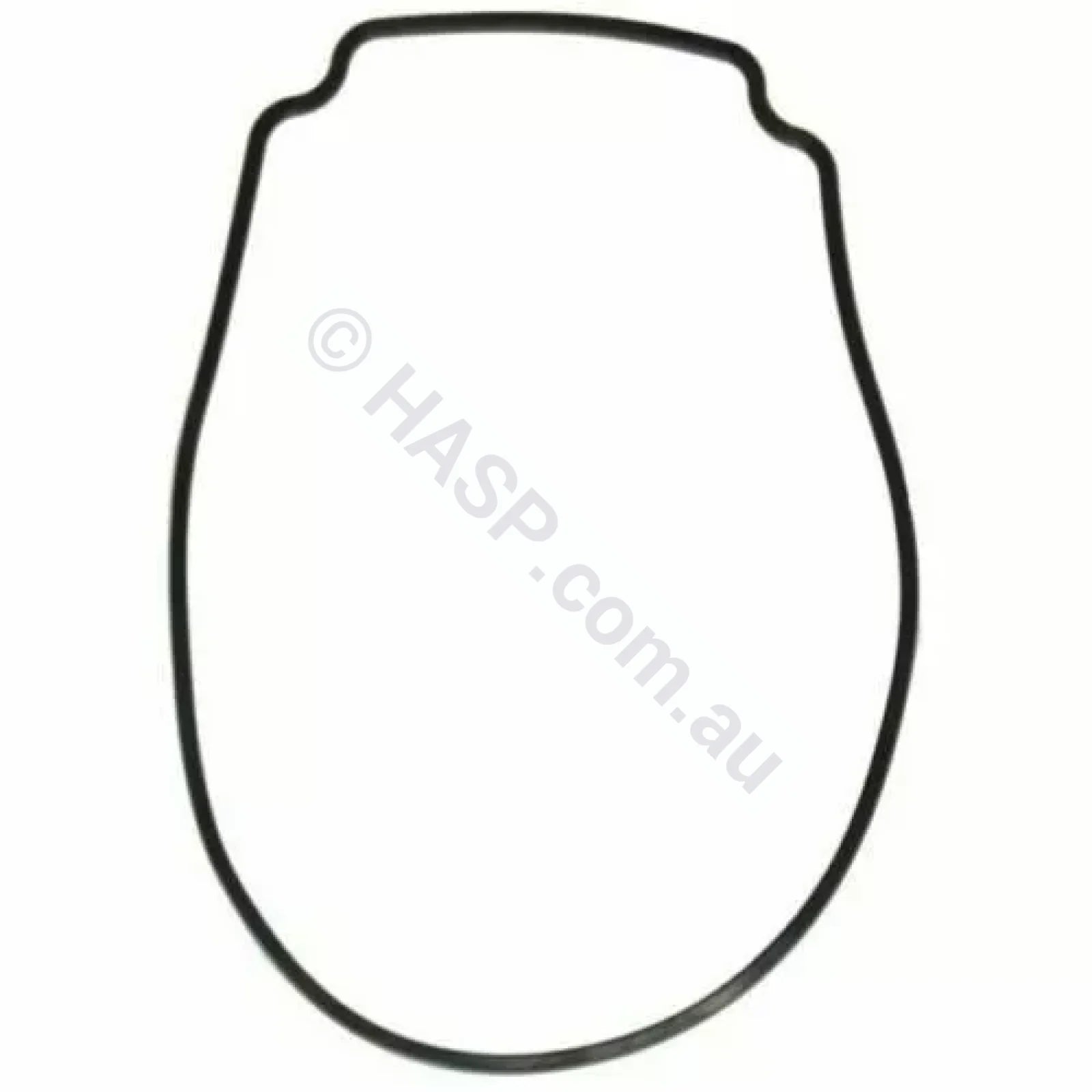 Astralpool Pump Body O-Ring / Gasket Pre 2019 Ctx | E Style Viron Xtpre Xt