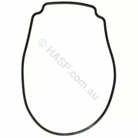 Astralpool Pump Body O-Ring / Gasket Pre 2019 Ctx | E Style Viron Xtpre Xt
