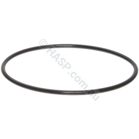 Astralpool Viron CL Filter Lid O-ring - Heater and Spa Parts