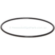 Astralpool Viron CL Filter Lid O-ring - Heater and Spa Parts