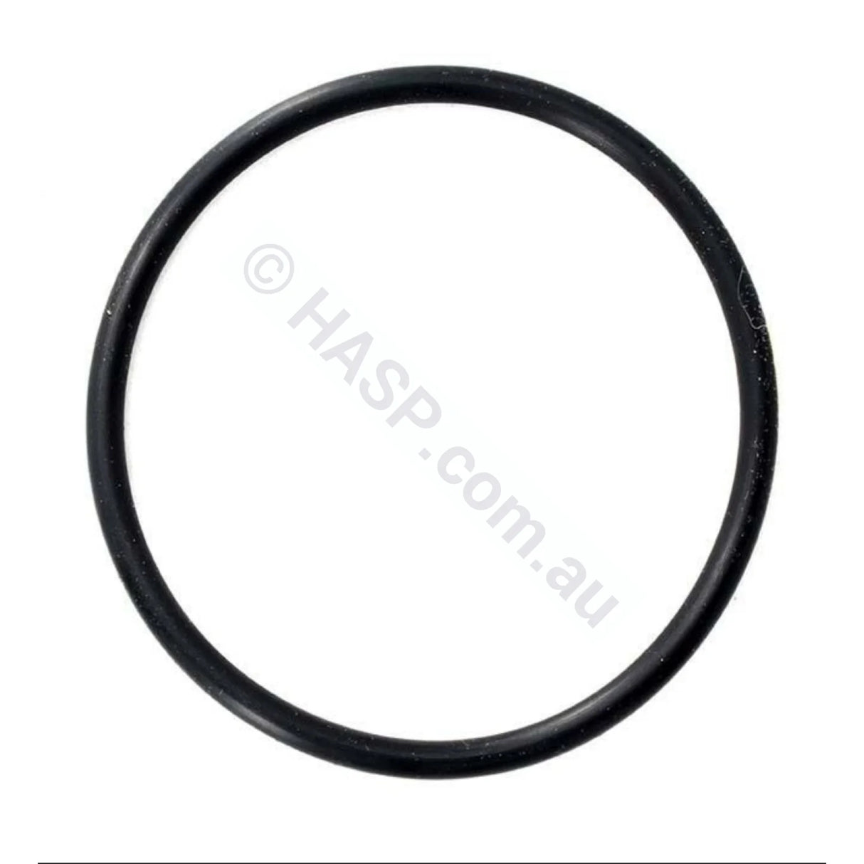 Astralpool Chlorinator Chlorinator O-Ring - 65mm tails - Heater and Spa Parts