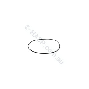 Balboa / Onga Bath Pump Body Casing O-ring Gasket Seal