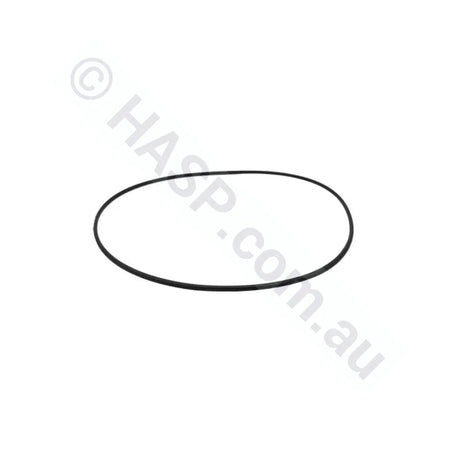 Balboa / Onga Bath Pump Body Casing O-ring Gasket Seal