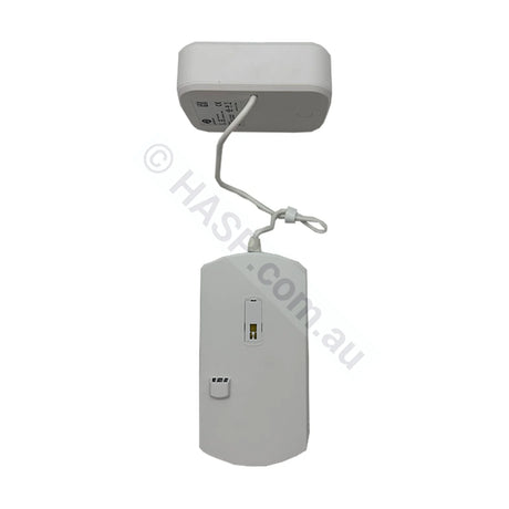 Balboa Purezone Hover Floating Water Monitoring System