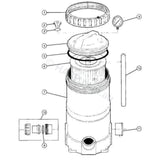 Davey CF / Monarch EcoPure Filter Lid O-Ring Seal - Heater and Spa Parts