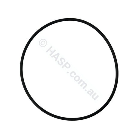 Davey Henden Crystal Clear Cartridge Filter - Lid O-ring - 280mm - Pool & Spa