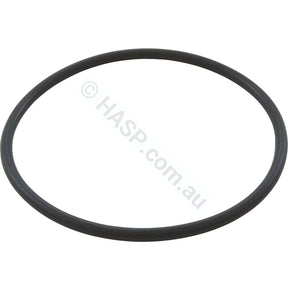Davey Spaquip Crystal Clear Cartridge Filter - Lid O-Ring