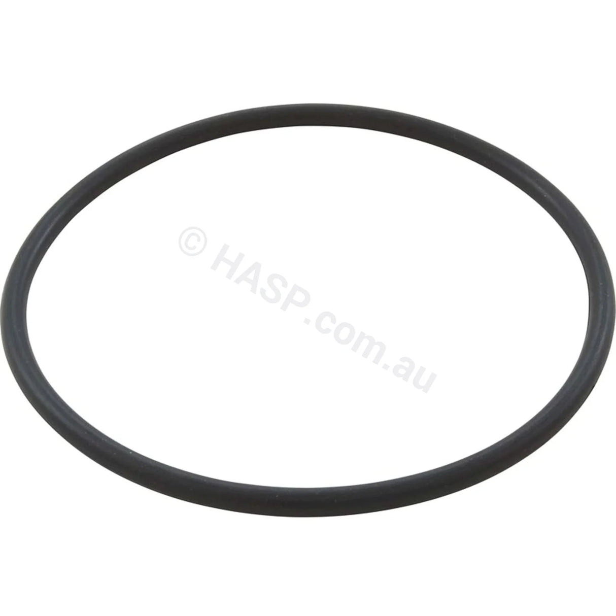 Davey Spaquip Crystal Clear Cartridge Filter - Lid O-Ring