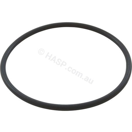 Davey Spaquip Crystal Clear Cartridge Filter - Lid O-Ring