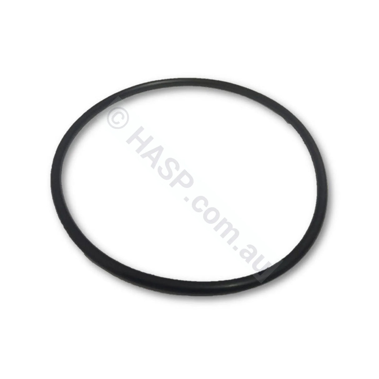 Davey Power Master Lid O’ring