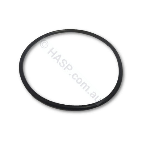 Davey Power Master Lid O’ring