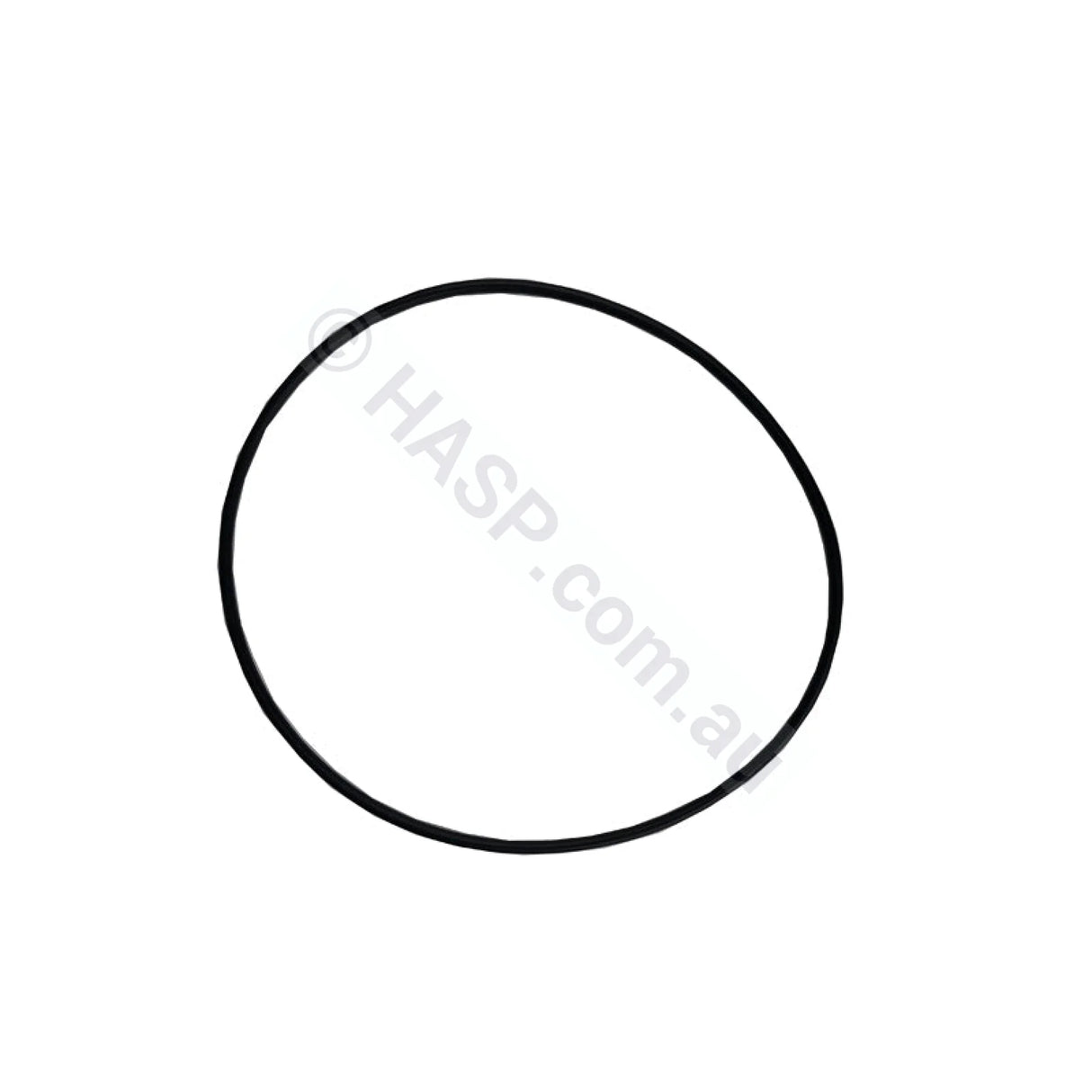 Davey QB / LX LP & WP / SpaNet XS Pump Body O-ring - Pool & Spa