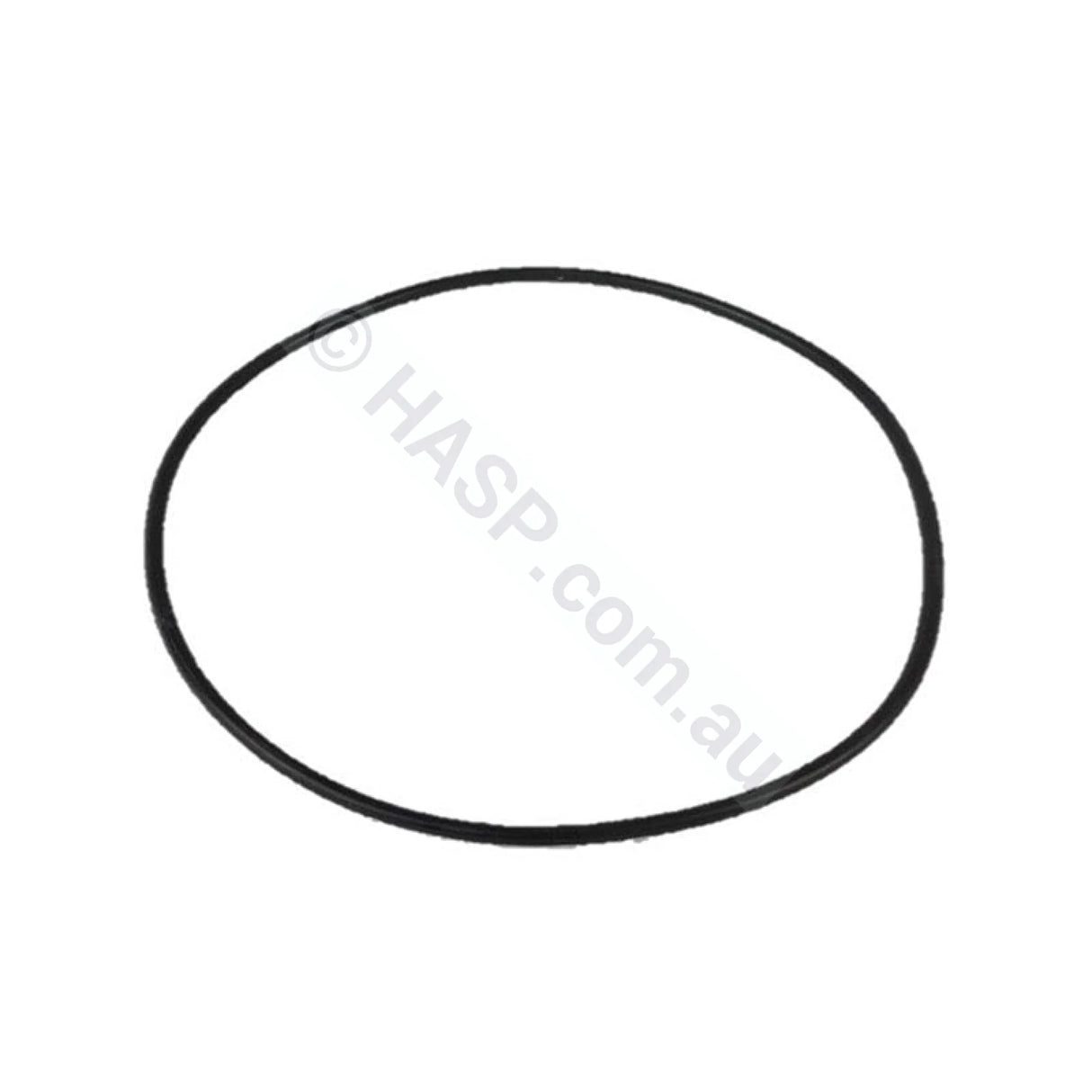 Davey Spaquip Series 1000 Filter Lid O Ring - 156mm - Pool & Spa
