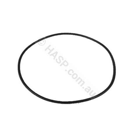 Davey Spaquip Series 1000 Filter Lid O Ring - 156mm - Pool & Spa