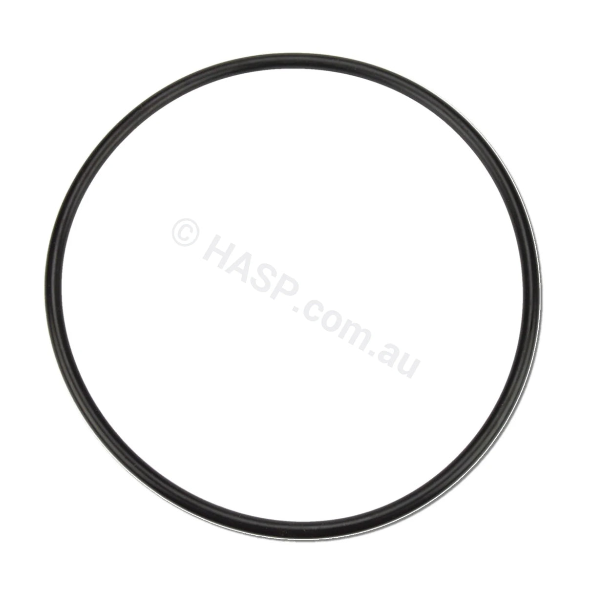 Davey Spaquip Series 1000 Filter Lid O Ring - Heater and Spa Parts