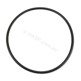 Davey Spaquip Series 1000 Filter Lid O Ring - Heater and Spa Parts
