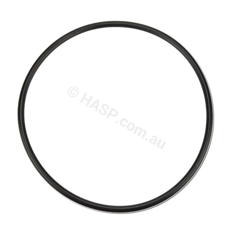 Davey Spaquip Series 1000 Filter Lid O Ring - Heater and Spa Parts