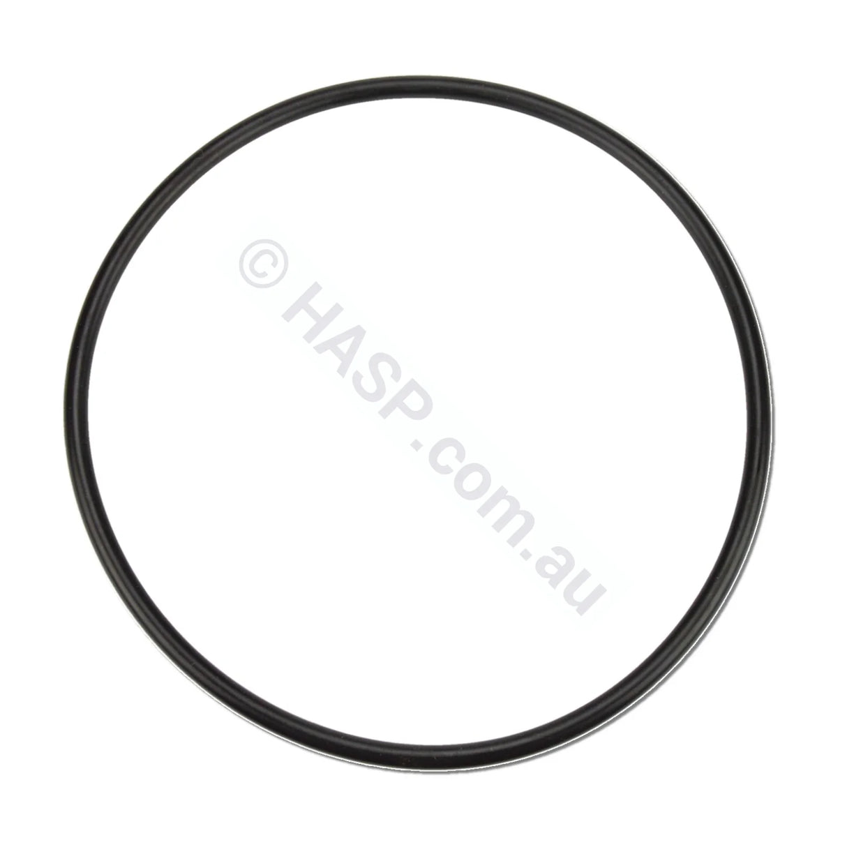 Davey Spaquip Series 1000 Filter Lid O Ring - Heater and Spa Parts