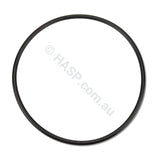 Davey Spaquip Series 1000 Filter Lid O Ring - Heater and Spa Parts