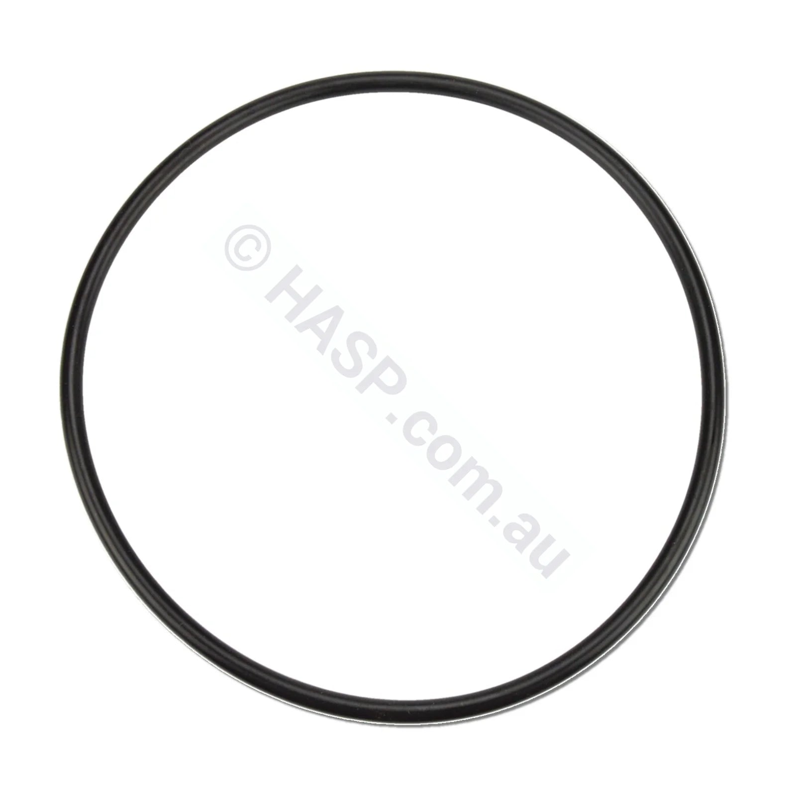 Davey Spaquip Series 1000 Filter Lid O Ring - Heater and Spa Parts