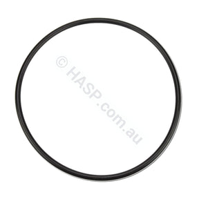 Davey Spaquip Series 1000 Filter Lid O Ring - Heater and Spa Parts