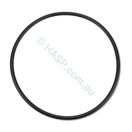 Davey Spaquip Series 1000 Filter Lid O Ring - Heater and Spa Parts