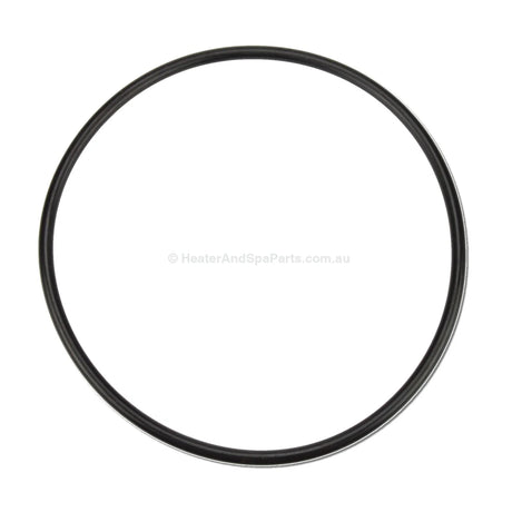 Davey Spaquip Series 1000 Filter Lid O Ring - Heater and Spa Parts