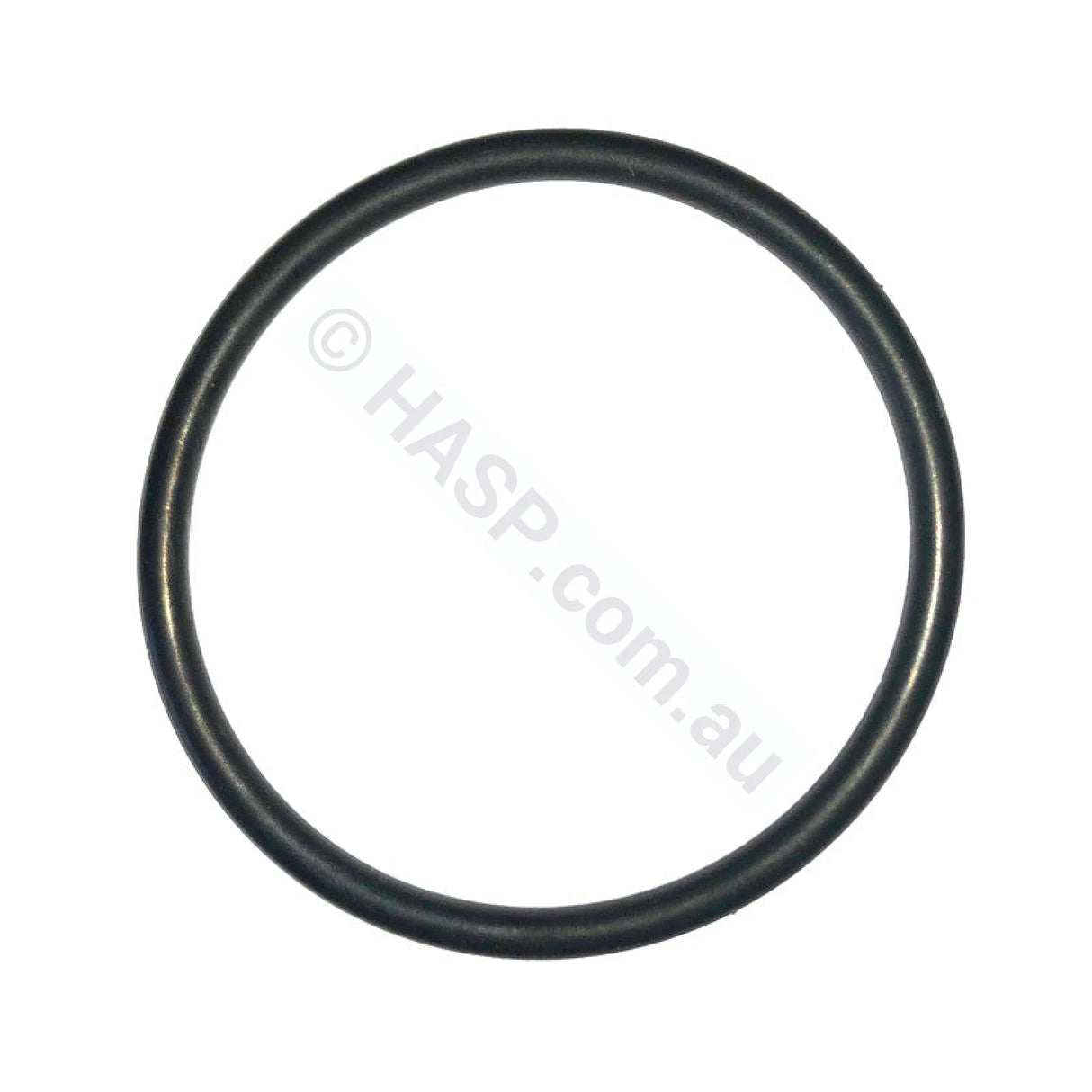 Davey StarFlo Barrel Union O-ring - Pool & Spa