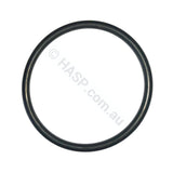 Davey StarFlo Barrel Union O-ring - Pool & Spa