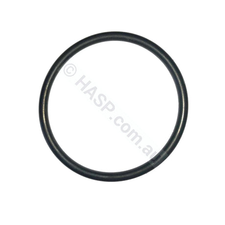 Davey Starflo Barrel Union O-Ring