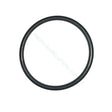 Davey Starflo Barrel Union O-Ring