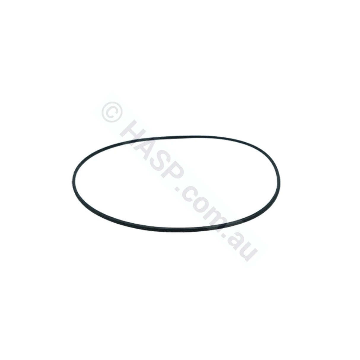 Davey Starflo Lid O’ring