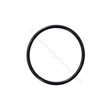 Davey Xs / Celsior Union O-Ring