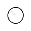 Davey Xs / Celsior Union O-Ring