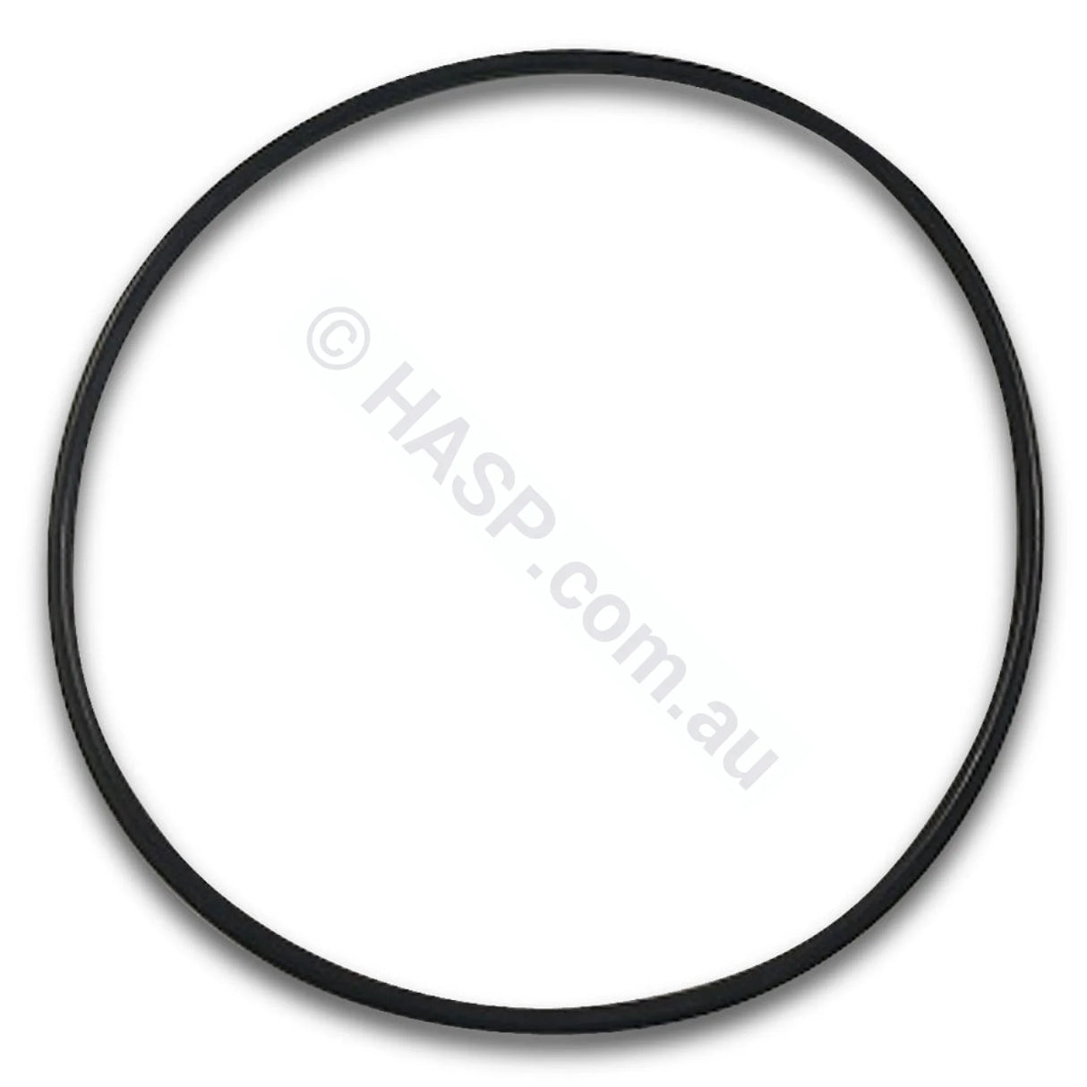 Davey Xs Pump Body O-Ring