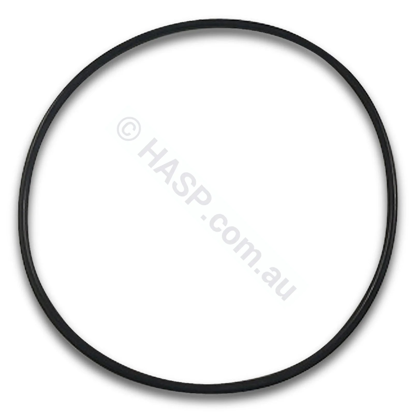 Davey Xs Pump Body O-Ring