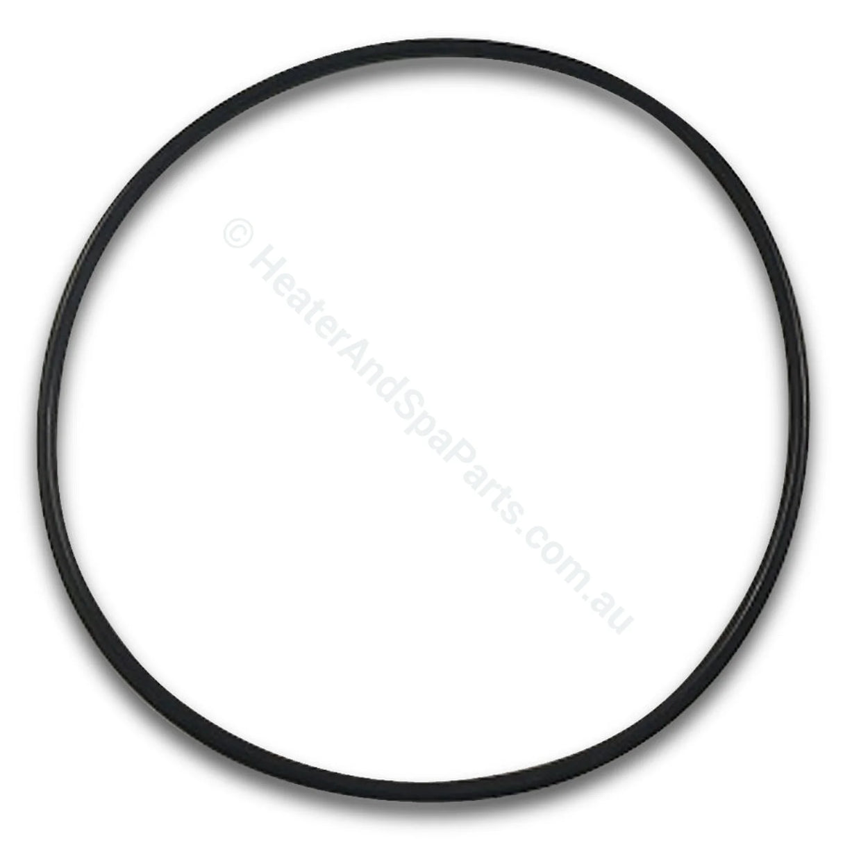 Davey Xs Pump Body O-Ring
