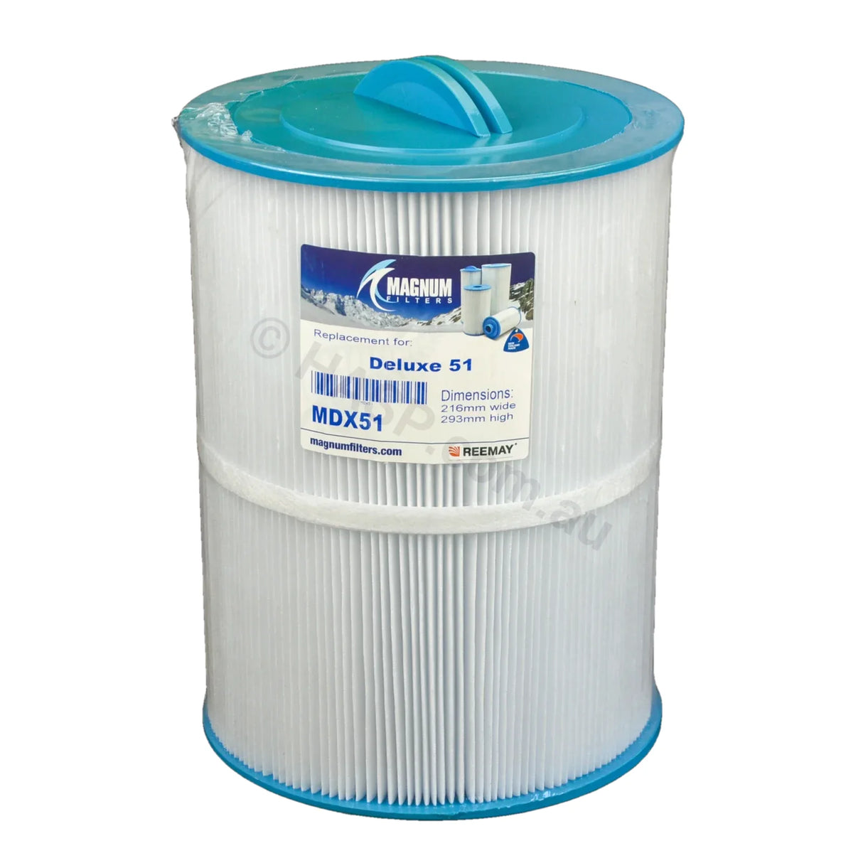 Deluxe Spas Sl / Sm Series 50 Sqft Filter Cartridge - Female Thread Cartridge Filters
