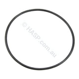 E-10 Pump Parts - Impeller / Seals Body O-Ring