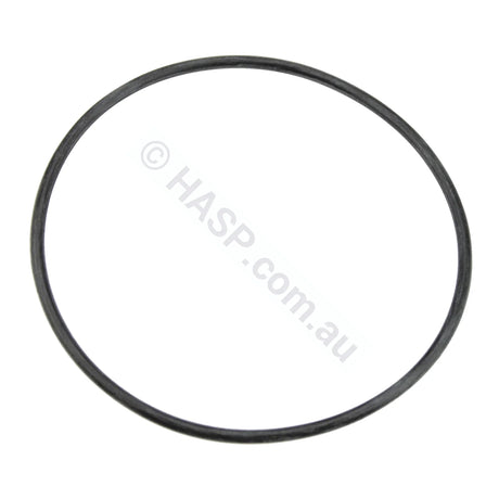 E-10 Pump Parts - Impeller / Seals Body O-Ring