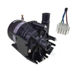 E10 Spa Circulation Pump - Genuine Itt Laing Xylem Goulds Thermotech W/ Amp Plug / Filtration Pumps