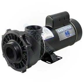 Executive 48 or 56 Spa Pump - Waterway - Heater and Spa Parts