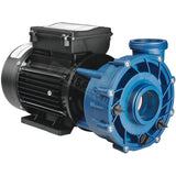 Gecko Maelstrom Ms-1 3.0Hp/4.2Hp Single-Speed Pump