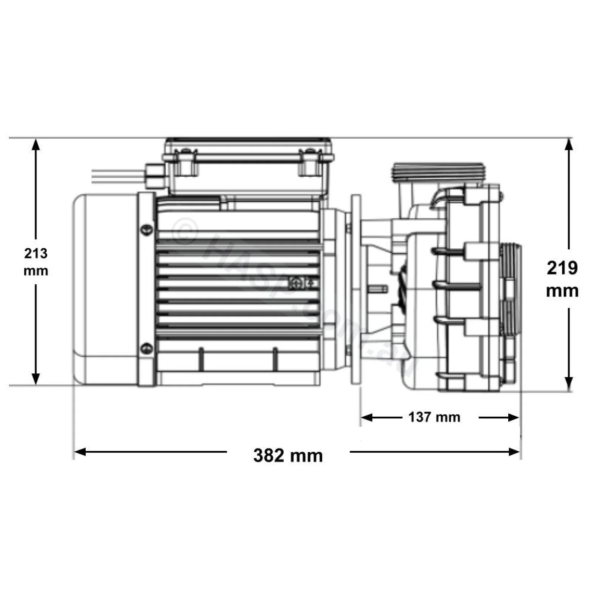 Gecko Maelstrom Ms-1 3.0Hp/4.2Hp Single-Speed Pump