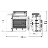 Gecko Maelstrom Ms-1 3.0Hp/4.2Hp Single-Speed Pump