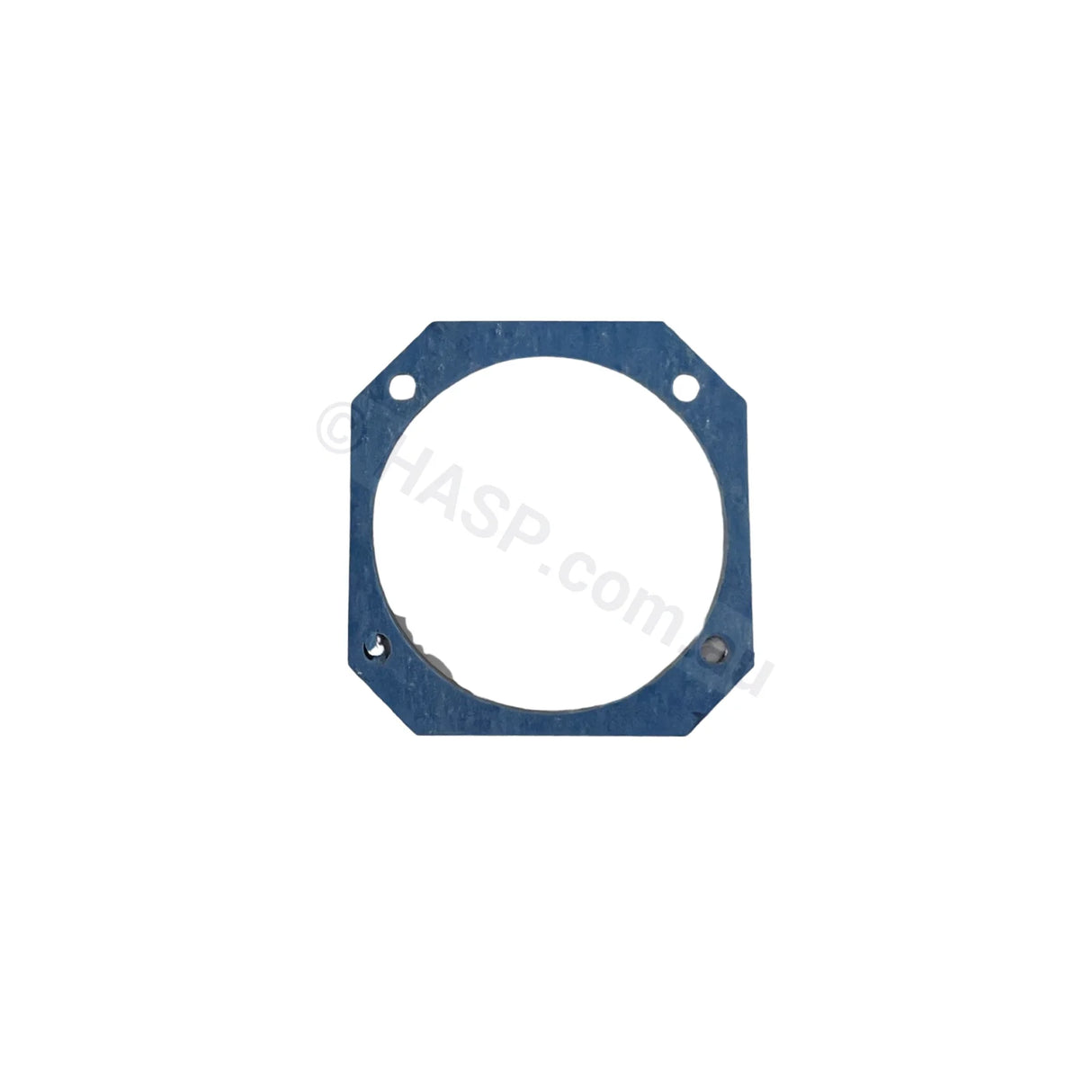 Hinrg Burner Tube Gasket Pool & Spa