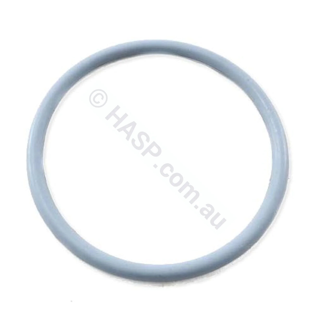 Hurlcon Astralpool 50mm O-Ring - Pumps, Filters, Heaters, Chlorinators - Heater and Spa Parts