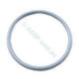 Hurlcon Astralpool 50mm O-Ring - Pumps, Filters, Heaters, Chlorinators - Heater and Spa Parts
