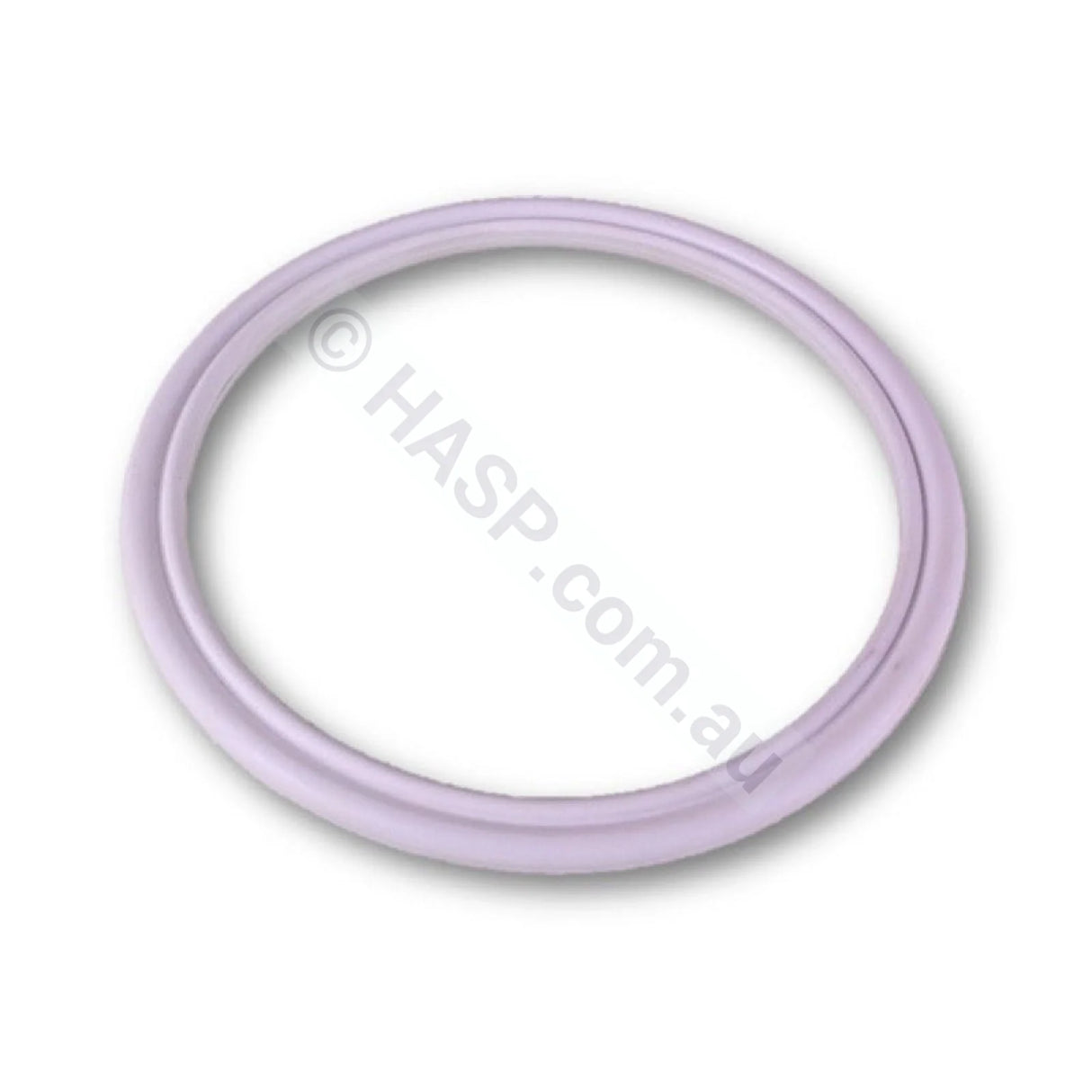 LA Spas Filter Bag O-Ring Retainer - Aqua Klean - Cartridge Filters
